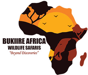 Bukiire wildlife safaris pics