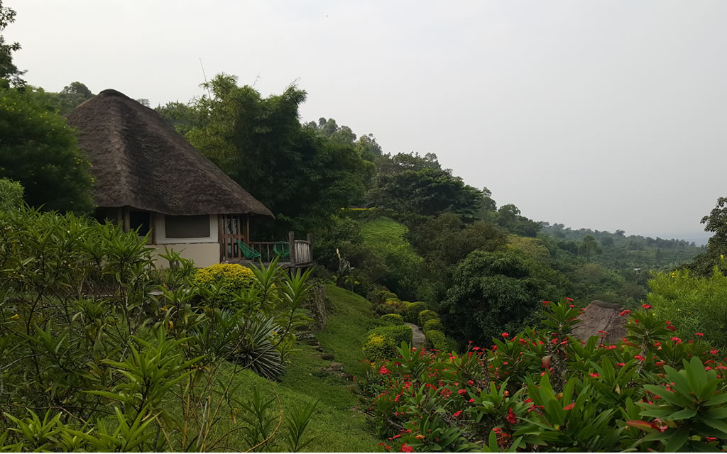 Enganzi Lodge in Queen Elizabeth National Park